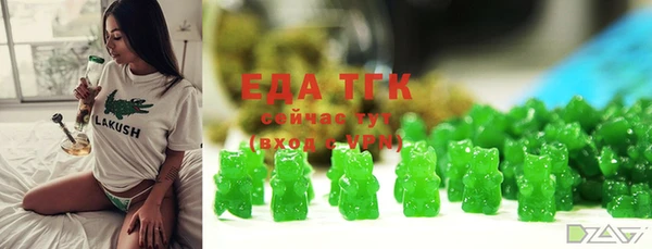 хмурый Новозыбков