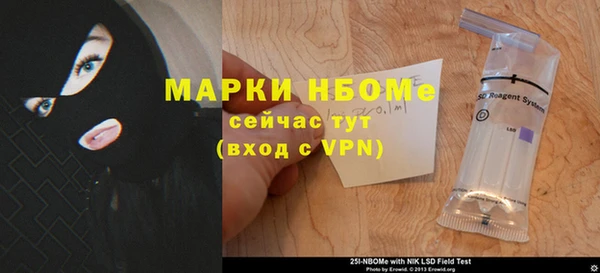 хмурый Новозыбков