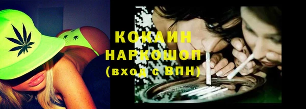 хмурый Новозыбков