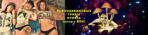 хмурый Новозыбков