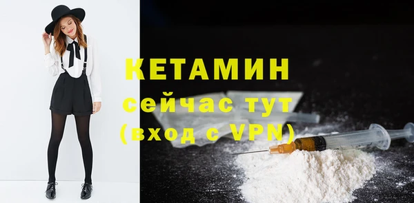 хмурый Новозыбков