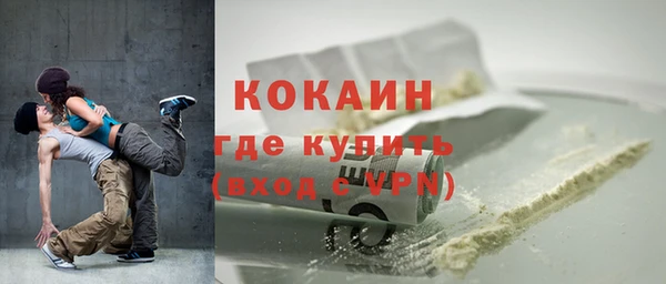 хмурый Новозыбков