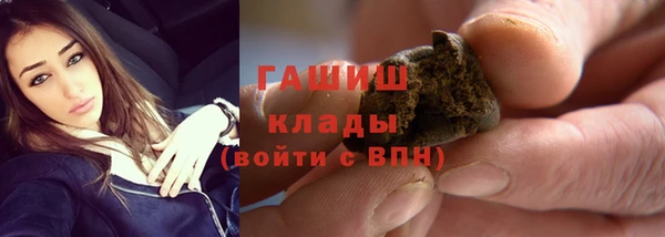хмурый Новозыбков