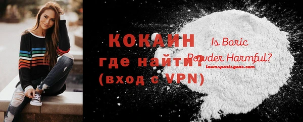 хмурый Новозыбков