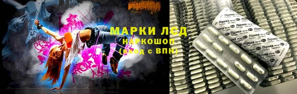 хмурый Новозыбков