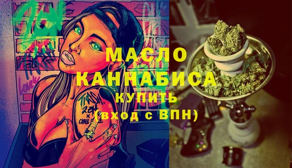 хмурый Новозыбков