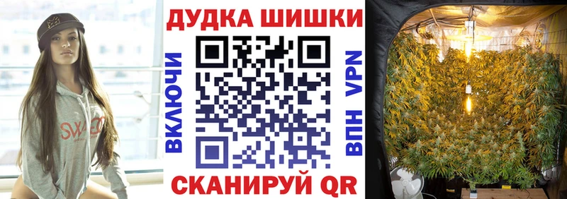 Купить где  Дятьково  Каннабис Bruce Banner 